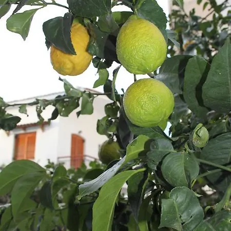 Pensjonat 123 Armonia Loutra Edipsou (Evia)
