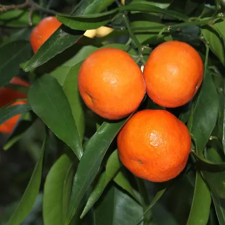 게스트하우스 123 Armonia