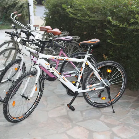 게스트하우스 123 Armonia