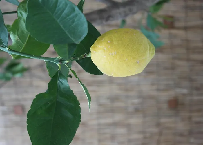 123 Armonia Gasthuis