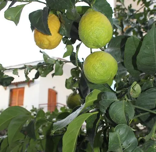 Gasthuis 123 Armonia Loutra Edipsou (Evia)